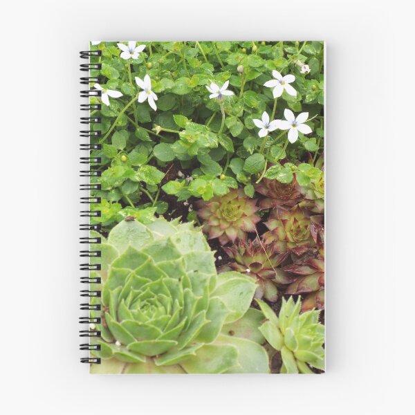 Item preview, Succulents designed and sold by PatternsbyHat.