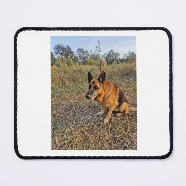 Item preview, the dog is looking for the cat designed and sold by apetkovic.