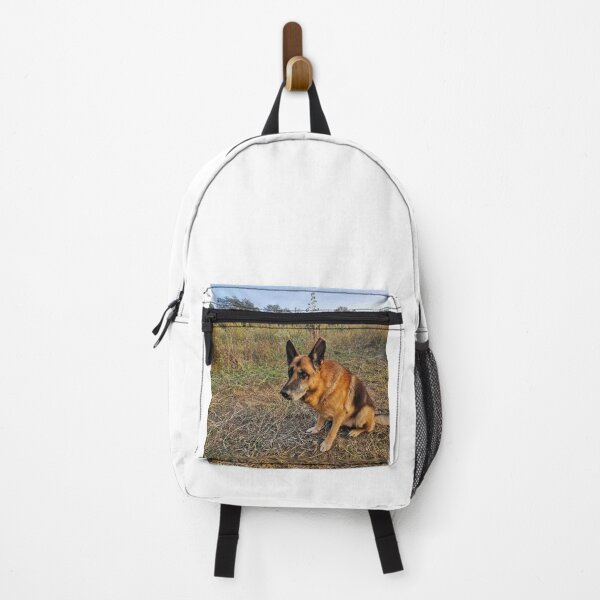 Item preview, the dog is looking for the cat designed and sold by apetkovic.