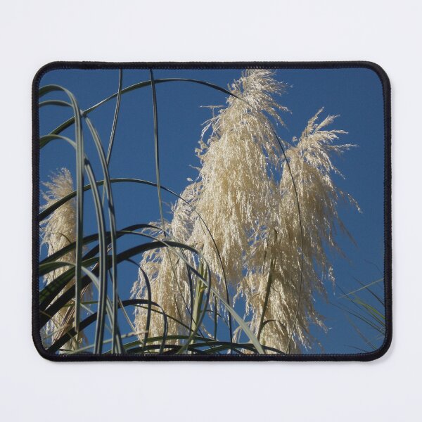 Item preview, Pampas Grass  designed and sold by Naomi80.
