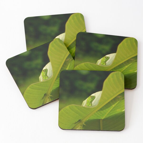 Item preview, little green iguana hidden in a leaf designed and sold by Shop-Oceania.