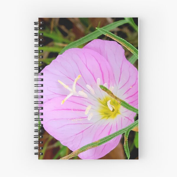 Item preview, Pink Evening Primrose designed and sold by hopeangel30.