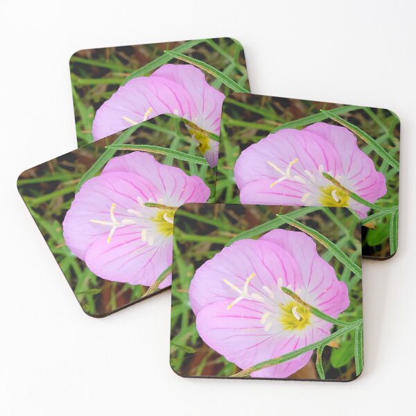 Item preview, Pink Evening Primrose designed and sold by hopeangel30.