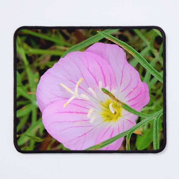 Item preview, Pink Evening Primrose designed and sold by hopeangel30.