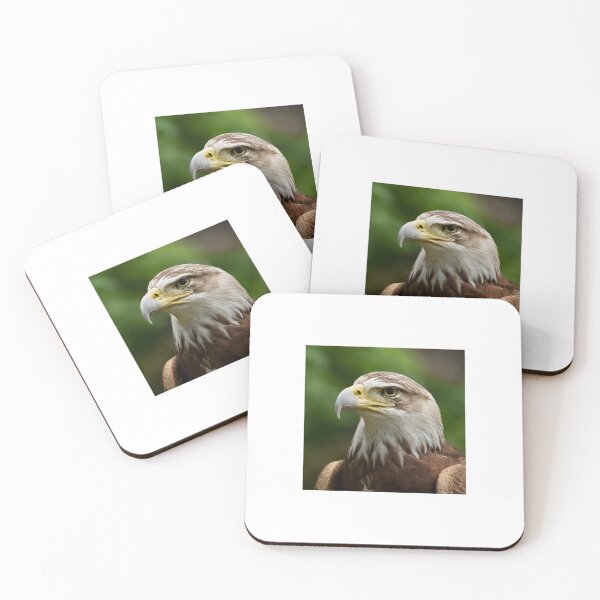 Item preview, Beautiful head of a golden eagle designed and sold by Bellas-Artes-99.