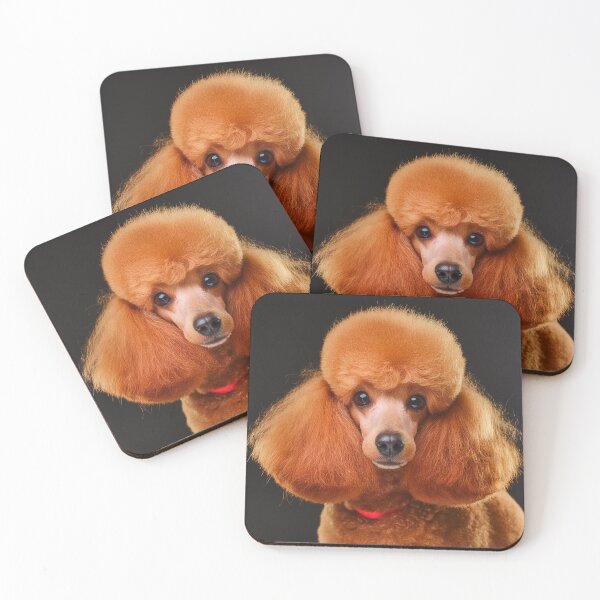 Item preview, Close-up of a red poodle with a stylish haircut against a dark background. Generative AI. designed and sold by homydesign.