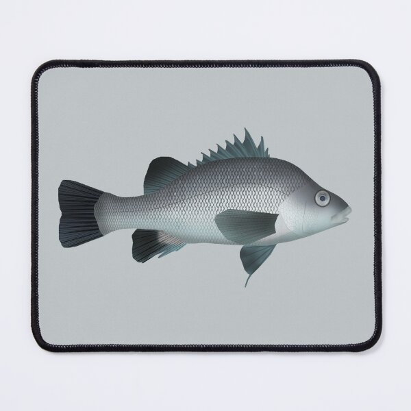 Item preview, Macquarie Perch  designed and sold by fishfolkart.