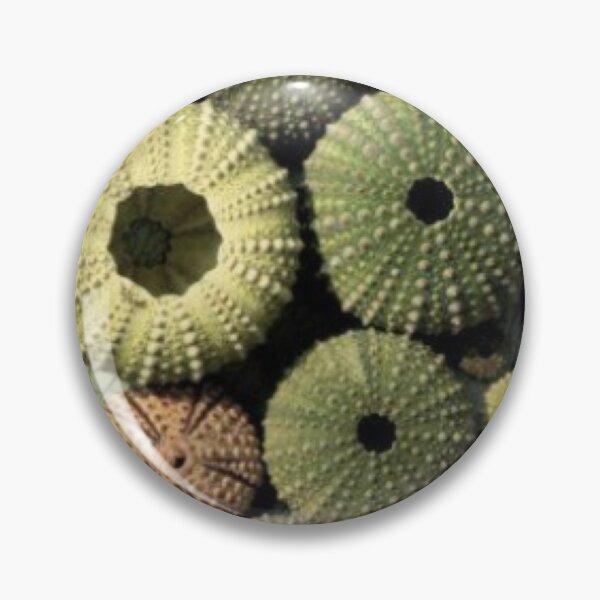 Item preview, Sea, seashell designed and sold by Furtecin.