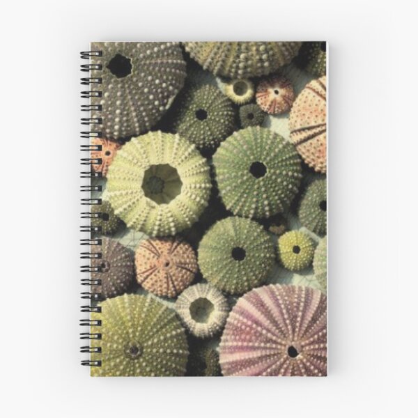 Item preview, mar, concha designed and sold by Furtecin.