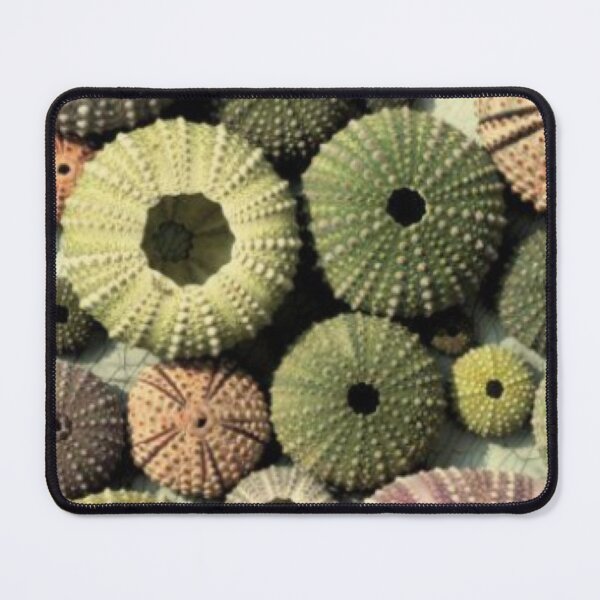 Item preview, Sea, seashell designed and sold by Furtecin.