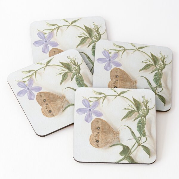 Item preview, Chinese Bush Brown butterfly and pupa on blue flower designed and sold by LigneaLuna.