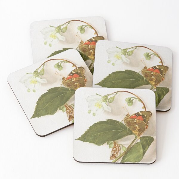 Item preview, Kamehameha butterfly and pupa on jasmine designed and sold by LigneaLuna.