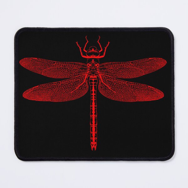 Item preview, Spider and dragonfly designed and sold by isabelthwaites.