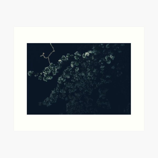 Night Tree Art Print