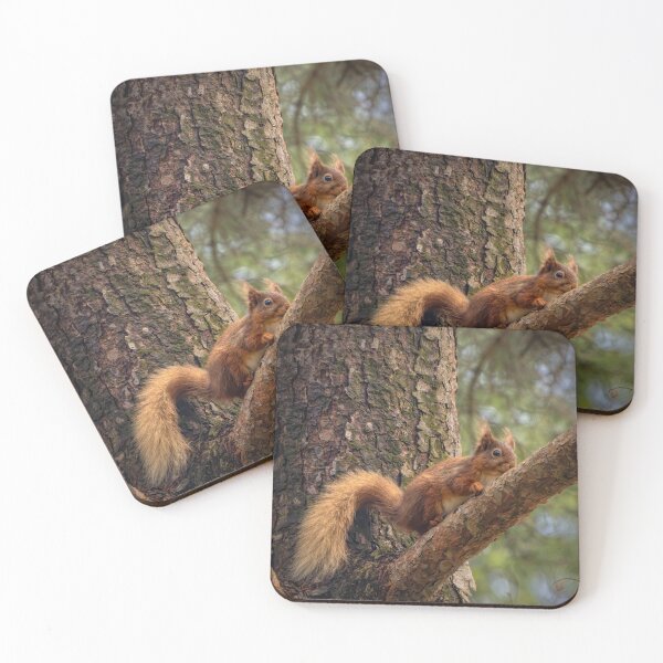 Item preview, Cumbrian Wildlife designed and sold by Viv Thompson Photography .