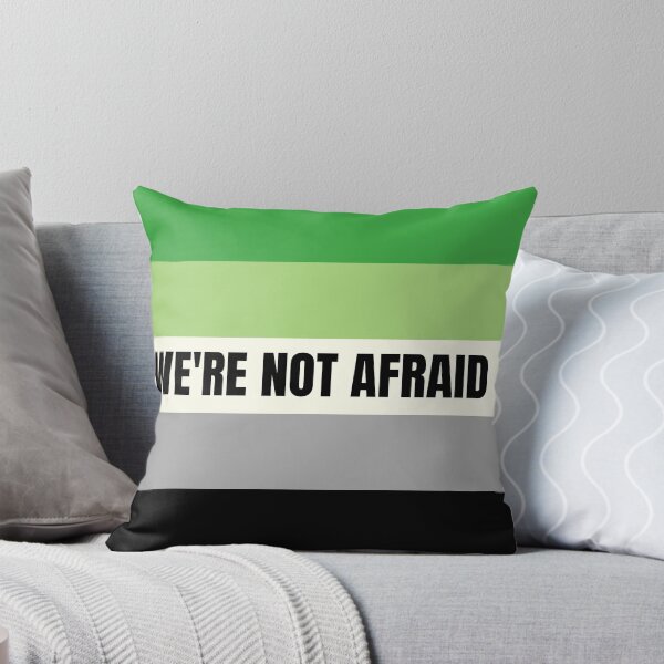 Item preview, We're Not Afraid Aromantic Pride Flag designed and sold by MiscellanyGifts.
