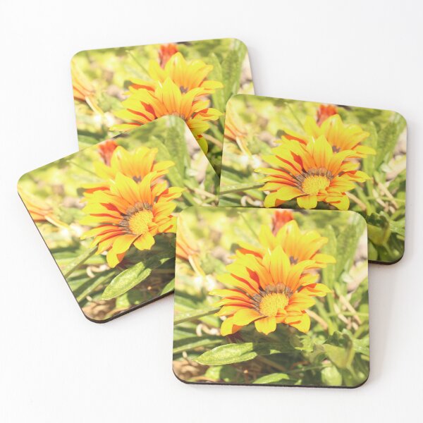 Item preview, Gazania designed and sold by matthewsimon1.