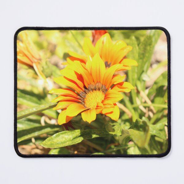 Item preview, Gazania designed and sold by matthewsimon1.