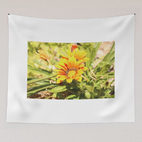 Item preview, Gazania designed and sold by matthewsimon1.