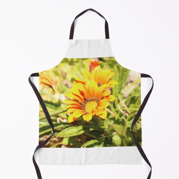 Item preview, Gazania designed and sold by matthewsimon1.