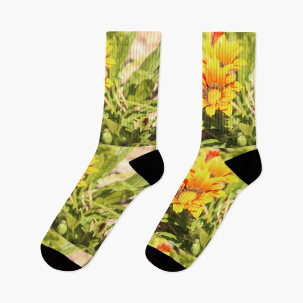 Item preview, Gazania designed and sold by matthewsimon1.