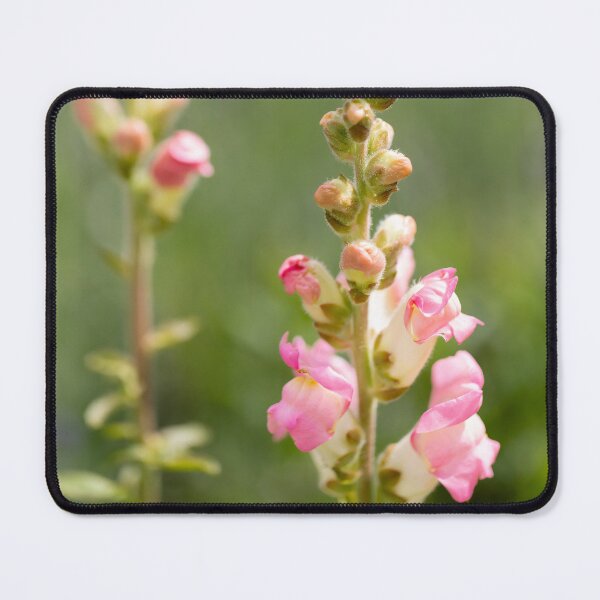 Item preview, Pink Snapdragon Flowers designed and sold by Tanya C Smith.
