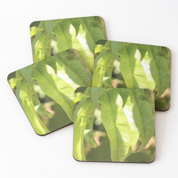 Item preview, Nectarine Tree Leaves designed and sold by PresMatPlays.