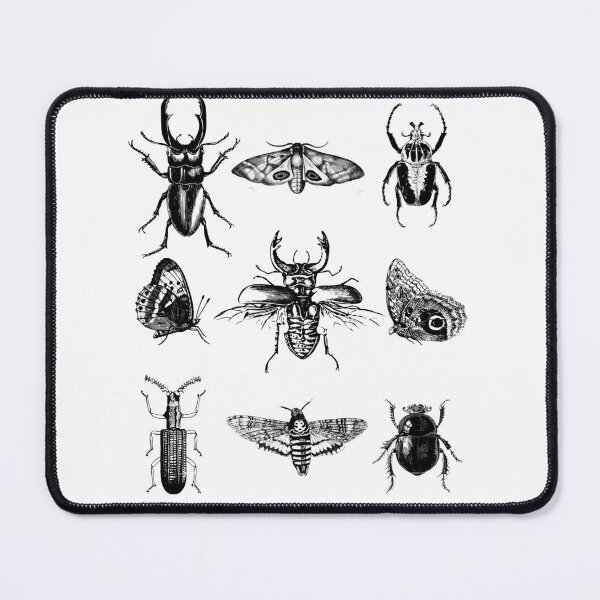 Item preview, Entomology: Beetles, Butterflies and Moths designed and sold by Suspiria96.