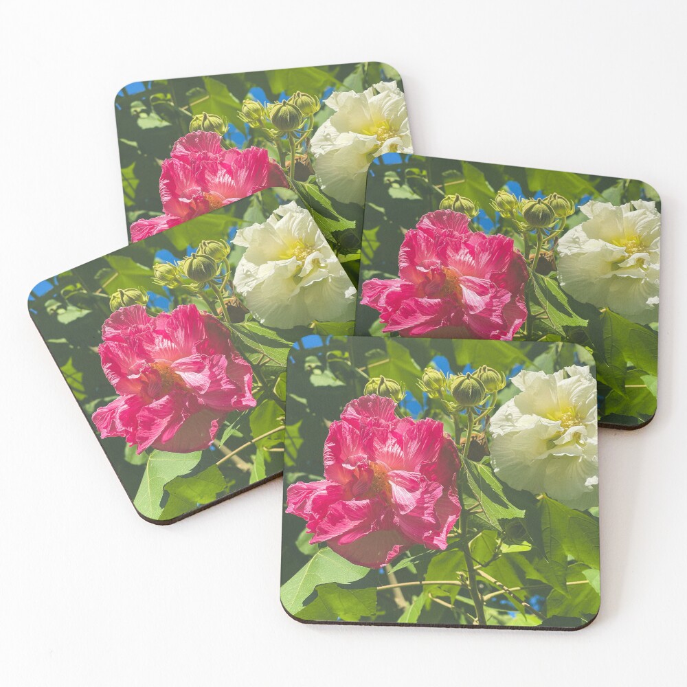 Item preview, Coasters (Set of 4) designed and sold by abramichelle.