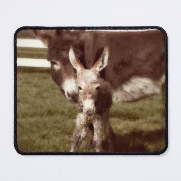 Item preview, Innocence designed and sold by Tiana McVay.