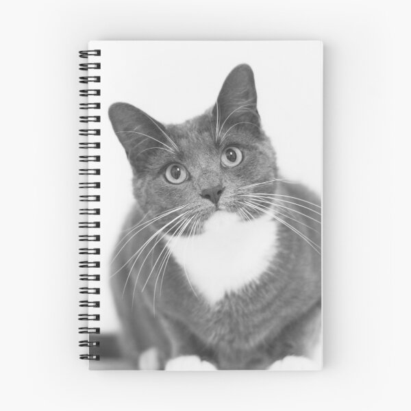 Item preview, Grey and white cat designed and sold by diamonddove.