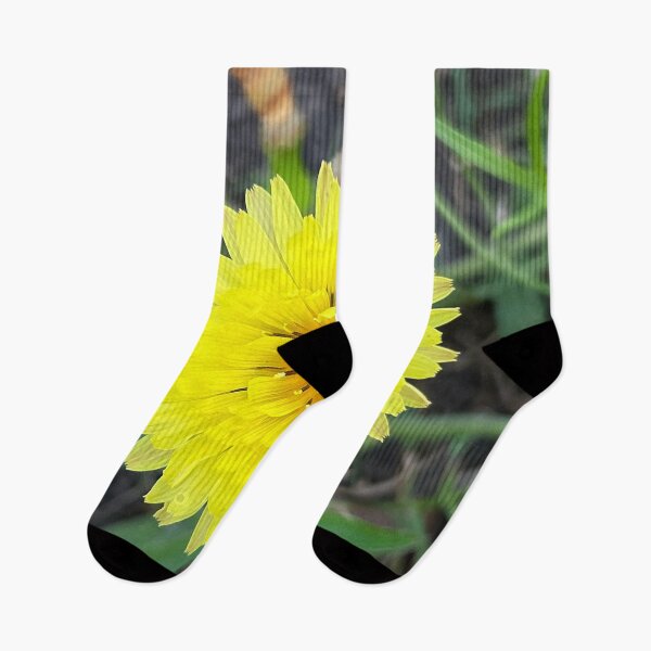 Item preview, Dandelion Flower  designed and sold by Alt-C Music.