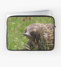 ~ Echidna ~ Laptop Sleeve