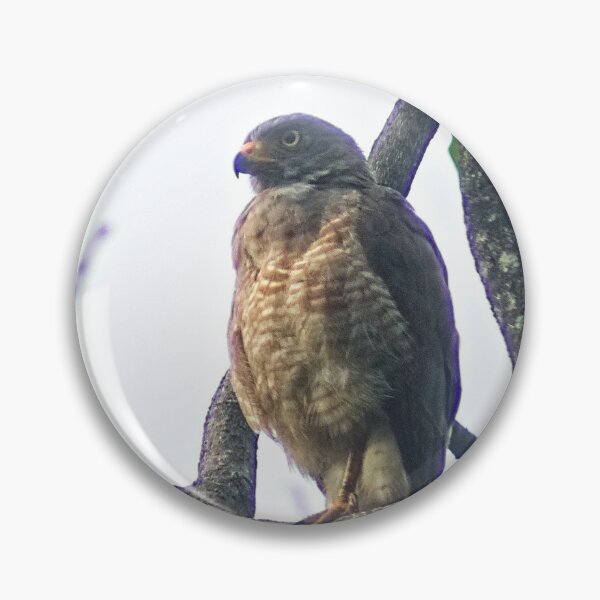 Item preview, Hla young hawk designed and sold by pcfyi.