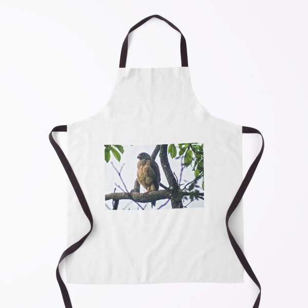 Item preview, Hla young hawk designed and sold by pcfyi.
