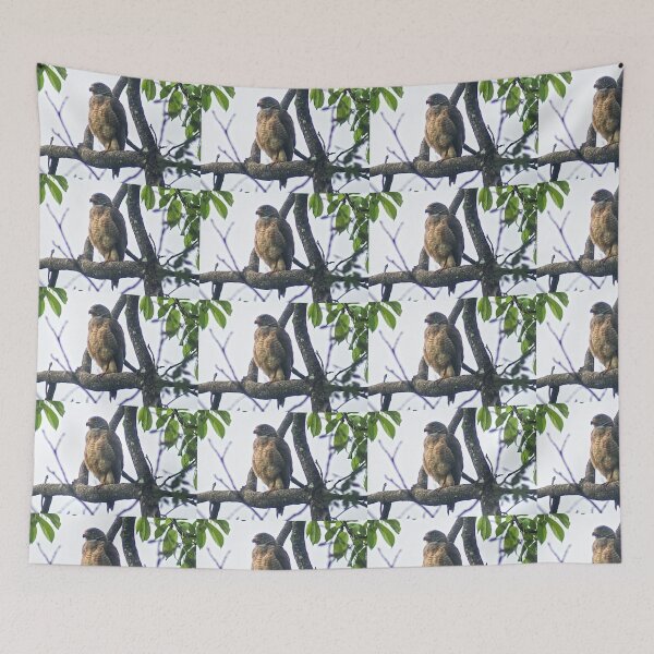 Item preview, Hla young hawk designed and sold by pcfyi.
