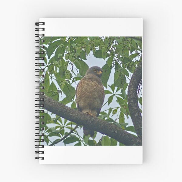 Item preview, Hla roadside hawk designed and sold by pcfyi.