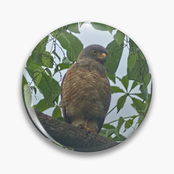 Item preview, Hla roadside hawk designed and sold by pcfyi.