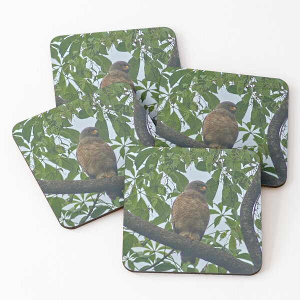 Item preview, Hla roadside hawk designed and sold by pcfyi.