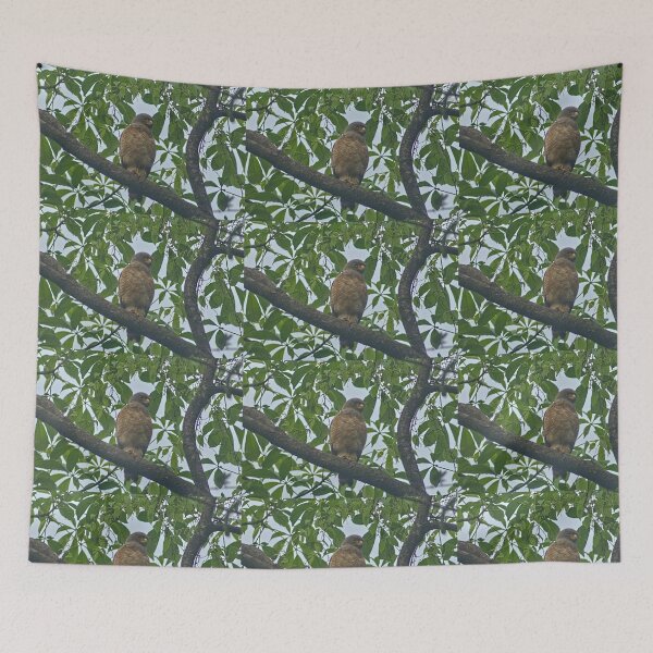 Item preview, Hla roadside hawk designed and sold by pcfyi.