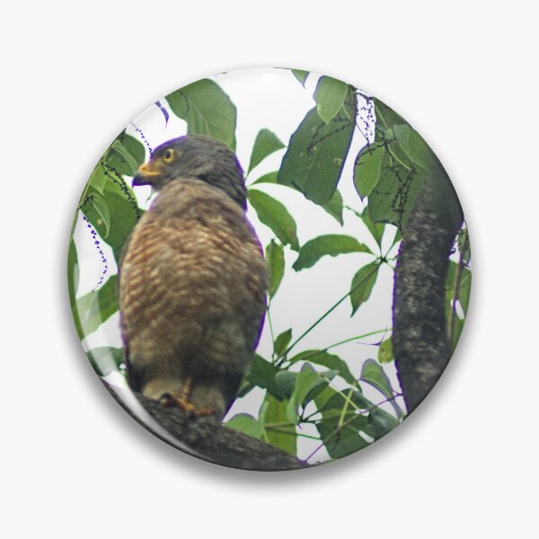 Item preview, Hla right side view hawk designed and sold by pcfyi.