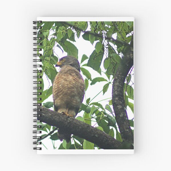 Item preview, Hla right side view hawk designed and sold by pcfyi.
