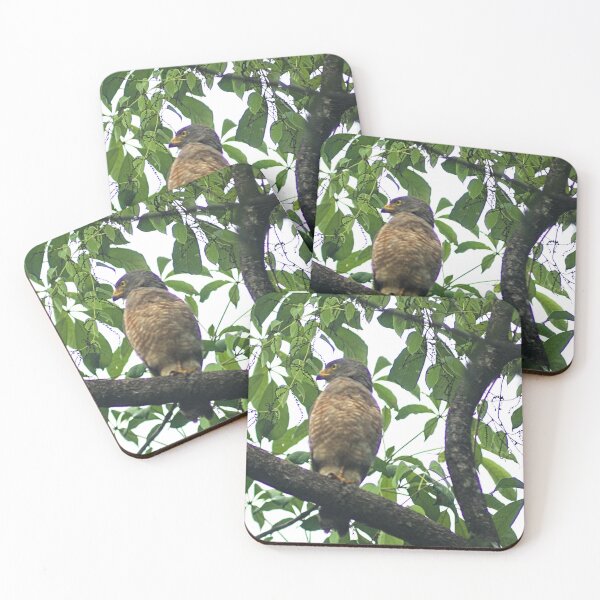 Item preview, Hla right side view hawk designed and sold by pcfyi.
