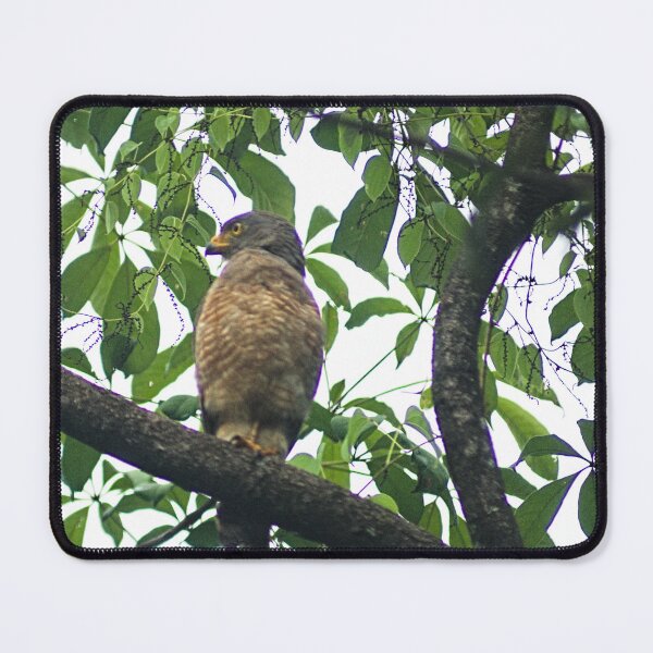 Item preview, Hla right side view hawk designed and sold by pcfyi.