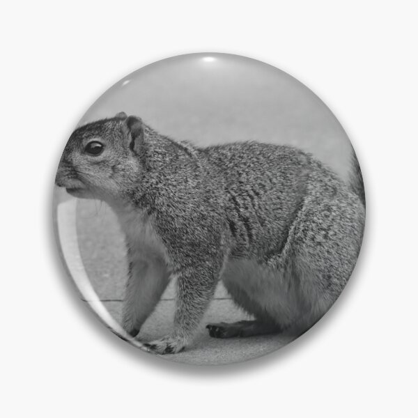 Item preview, A squirrel looking for food. designed and sold by FoxGlove5.