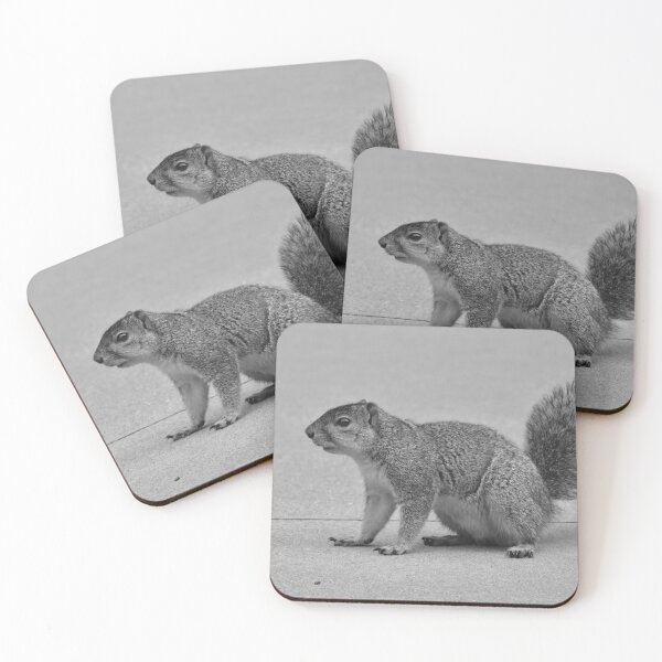 Item preview, A squirrel looking for food. designed and sold by FoxGlove5.