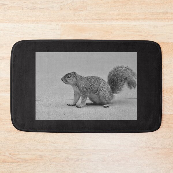 Item preview, A squirrel looking for food. designed and sold by FoxGlove5.