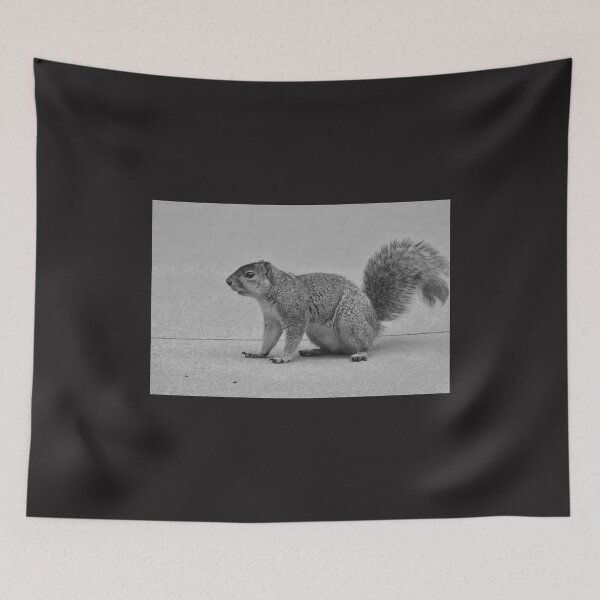 Item preview, A squirrel looking for food. designed and sold by FoxGlove5.