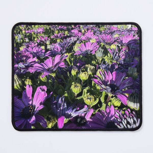 Item preview, Purple African Daisy designed and sold by Betsy Phillips.