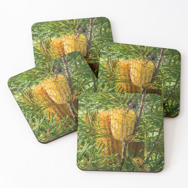 Item preview, Beautiful yellow banksia flowers in garden designed and sold by Images by Chris de Blank.